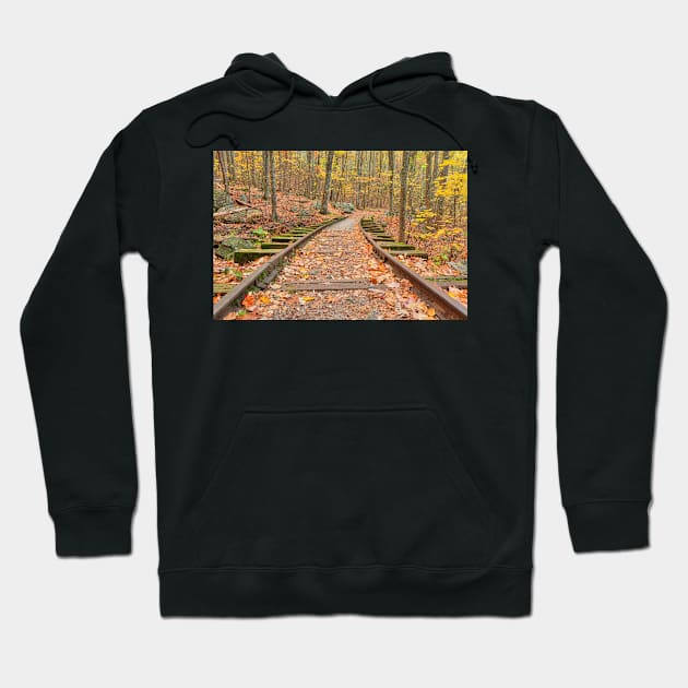 Autumn Logging Railroad Hoodie by somadjinn